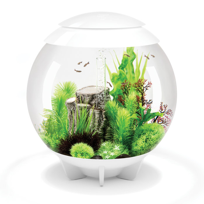 biOrb Round Aquarium Tank & Reviews Wayfair.ca